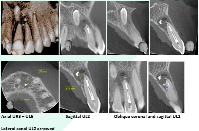 reporting page image 3 (2)