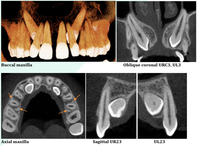reporting page image 6