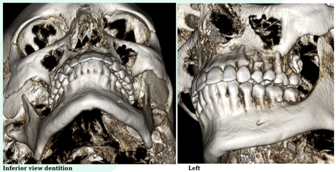reporting page image 7