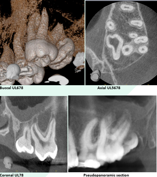 reporting page image 8