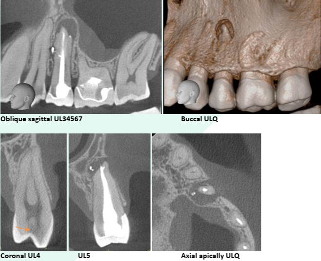 reporting page image 9